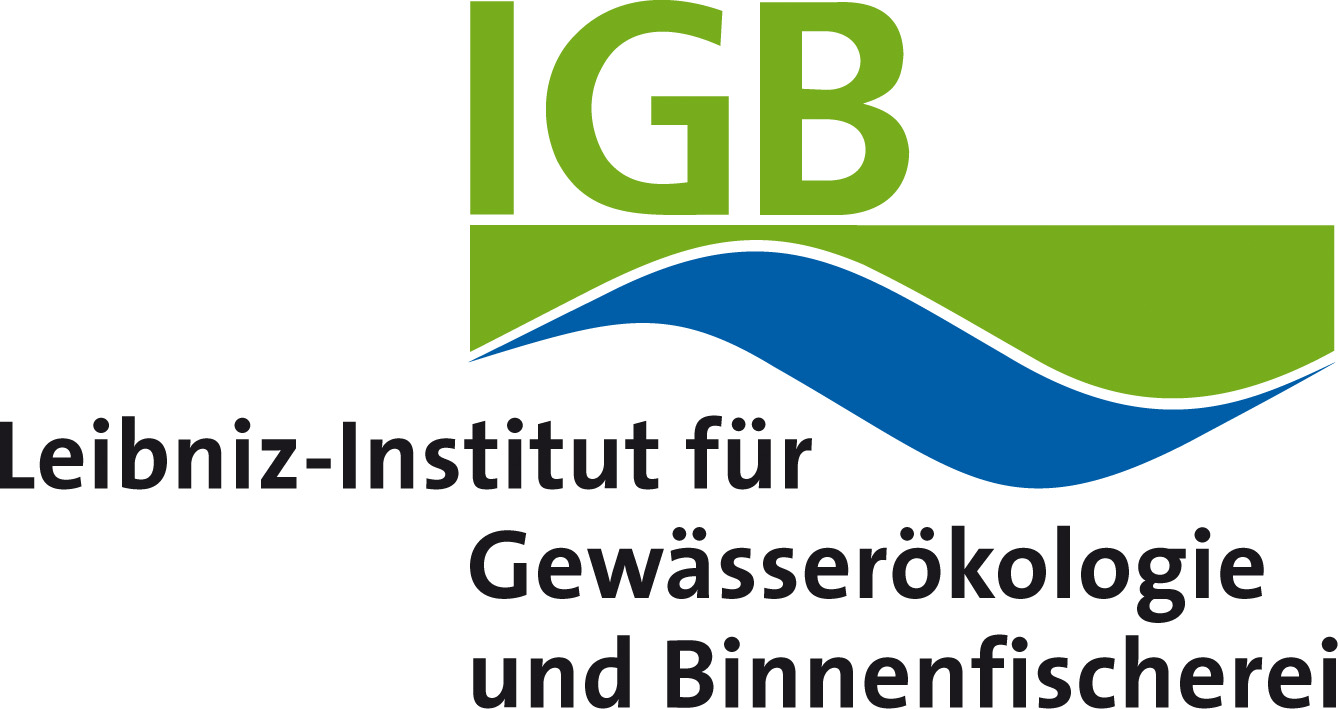 Wasserkraft: Das Sterberisiko für Fische an Turbinen bewerten