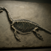 Einblick in das Verdauungssystem eines 245 Millionen Jahre alten Meeressauriers aus China