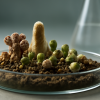 Biodiversität bakterieller Wirkstoffproduzenten als Grundlage für neue Medikamente