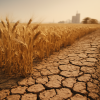 Klimabedingte Wasserknappheit treibt globale Weizenpreise deutlich nach oben