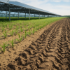 Bodenschutzmaßnahmen zur Vermeidung von Bodenverdichtung bei Agri-Photovoltaik-Anlagen
